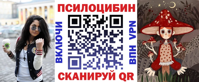 Псилоцибиновые грибы GOLDEN TEACHER Змеиногорск